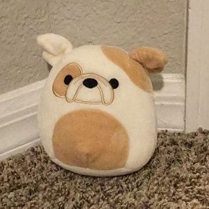 Brock 5 inch Squishmallow (bulldog)